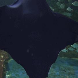 探索无尽奇迹的无限世界第二季：新旅程、新发现、新挑战等待着