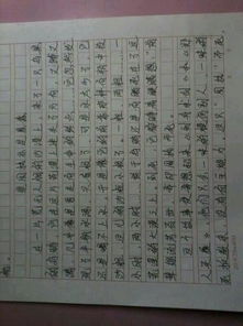 (遇见美丽作文600字记叙文)遇见，美丽的邂逅：写一篇600字的作文