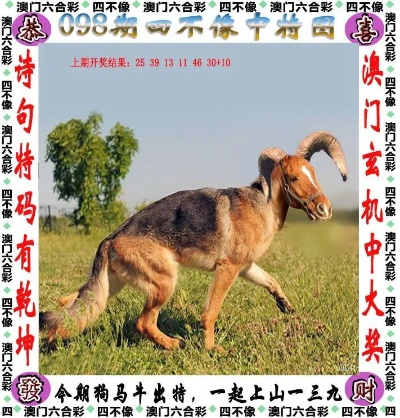 四不像正版资料291期|科技成语分析落实_zShop.6.489