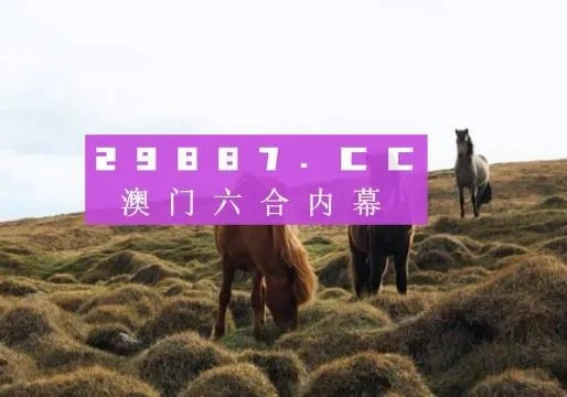 新澳门开奖结果2024开奖记录|探索未知的美丽旅程_虚拟款.0.388